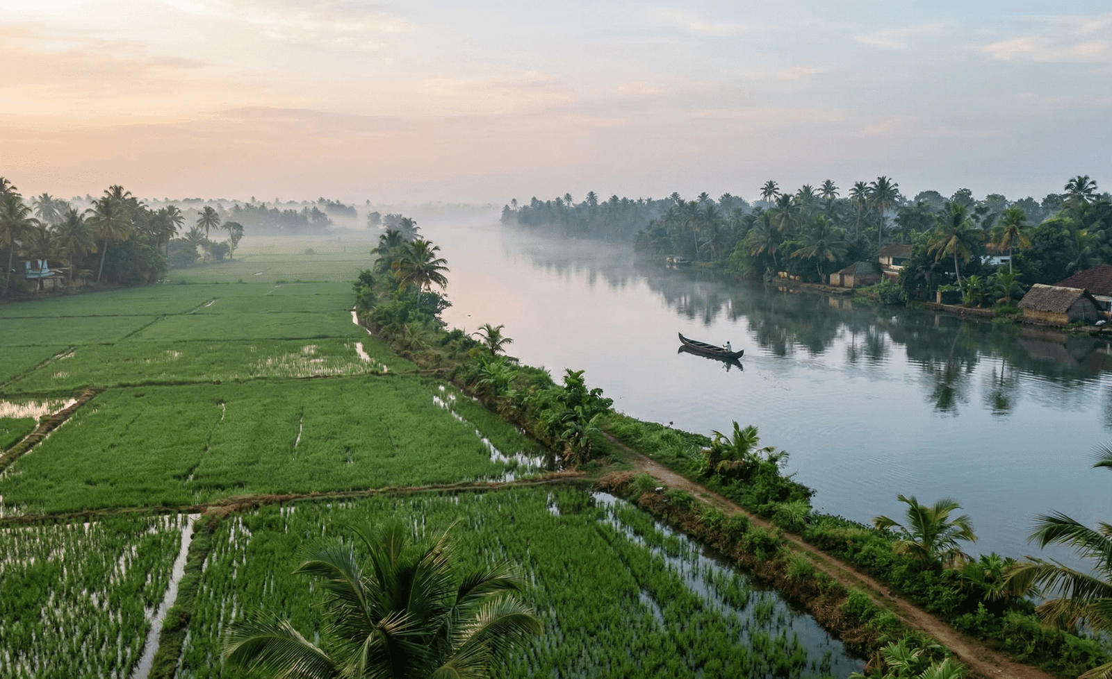 Village and paddy landscape in the Alleppey backwater region