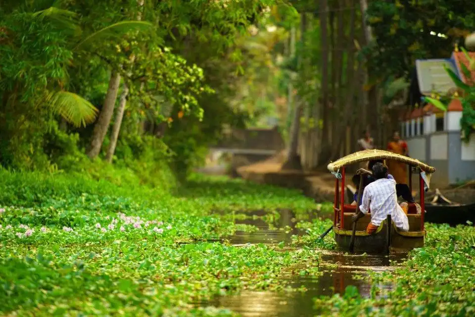 Village canoe tour in Alleppey backwaters