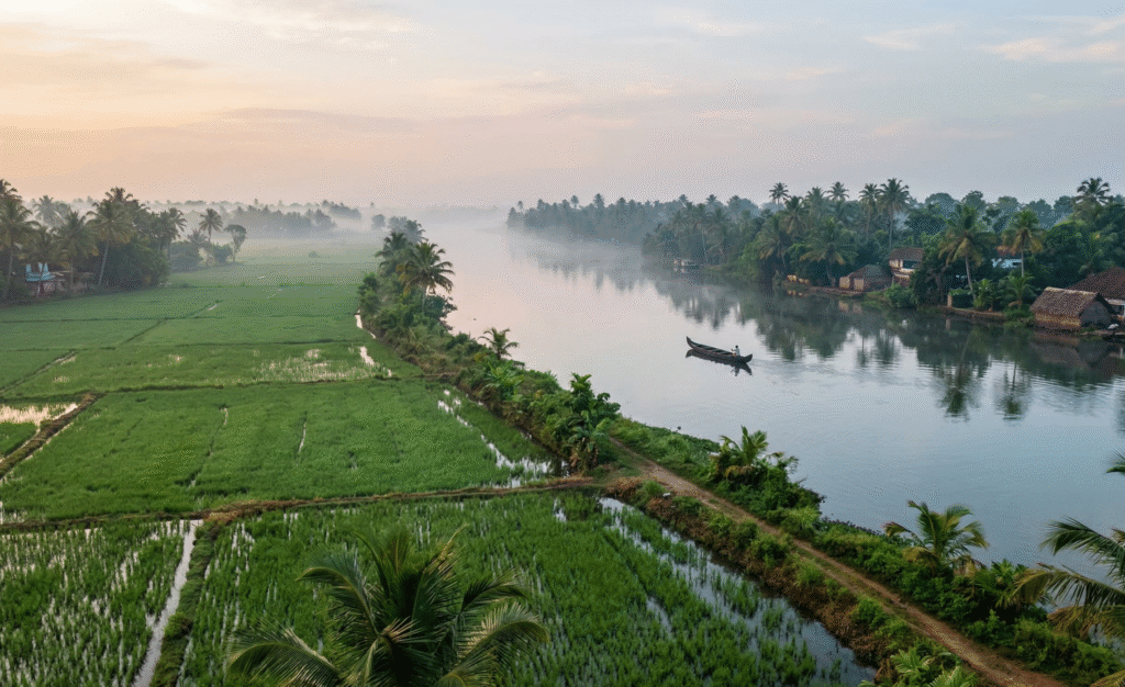 Alleppey backwaters
